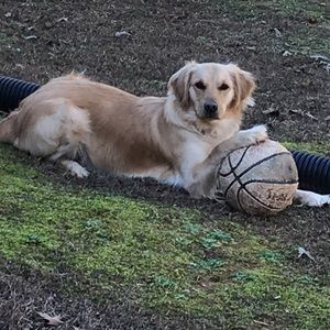 Meet your Posher, Chad